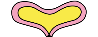 overactive bladder, normal bladder diagram