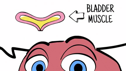 how myrbetriq works for overactive bladder, oab